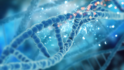 Remember the Human Genome Project? Look What’s Next
